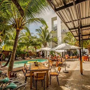 Che & Bar Isla Holbox